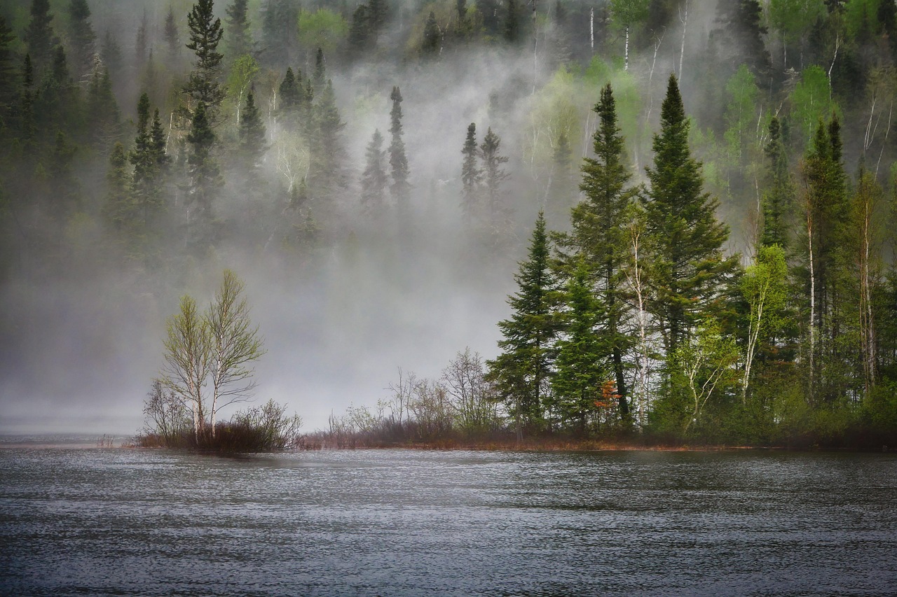 Paddling the Fog Line: Why Misty Mornings Are Worth the Alarm